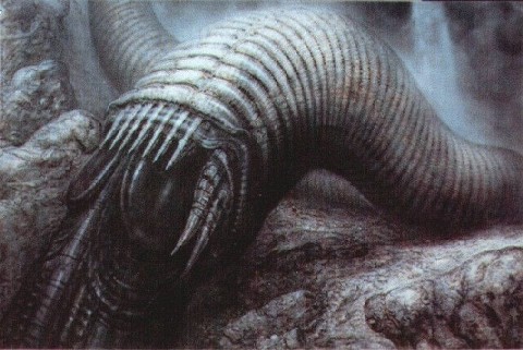 Bild 11 von 20  -  56 kB