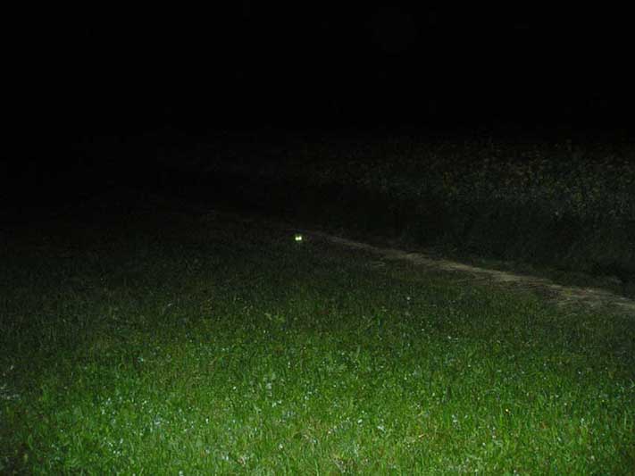 Bild 1 von 12  -  677 kB