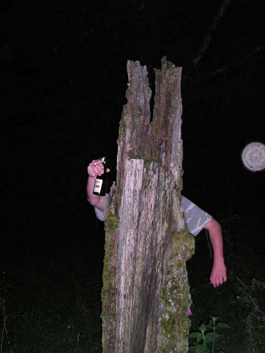 Bild 3 von 12  -  657 kB