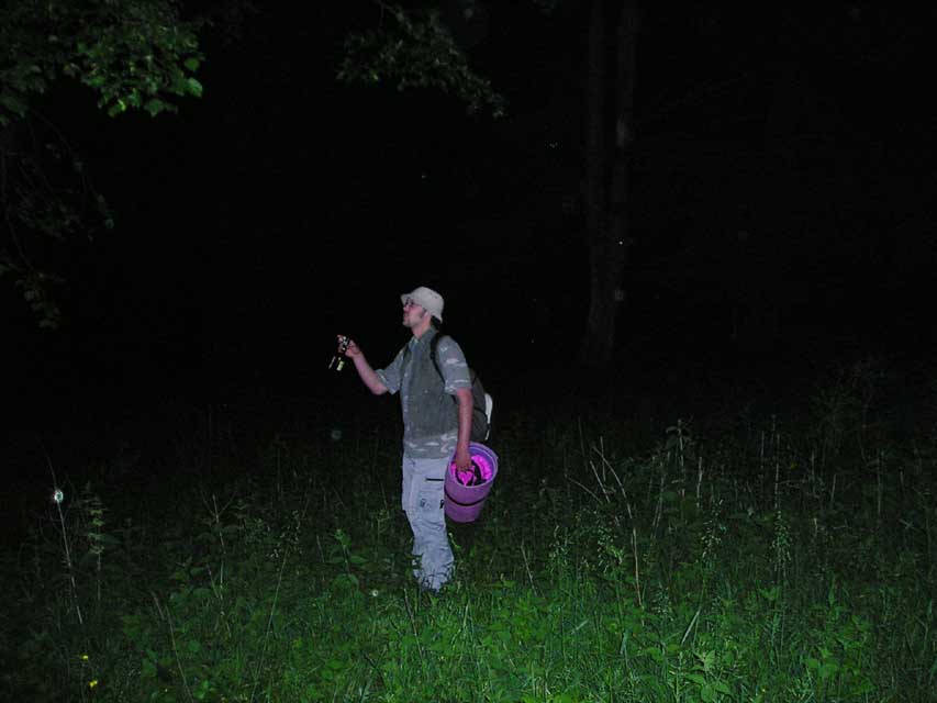 Bild 4 von 12  -  673 kB