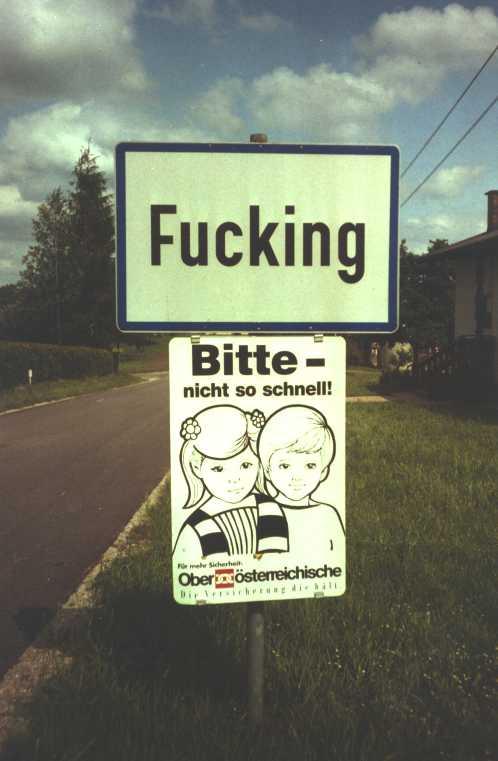 Bild 2 von 28  -  37 kB