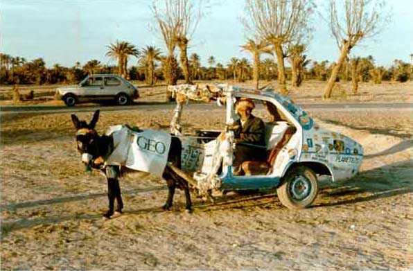 Bild 8 von 28  -  43 kB