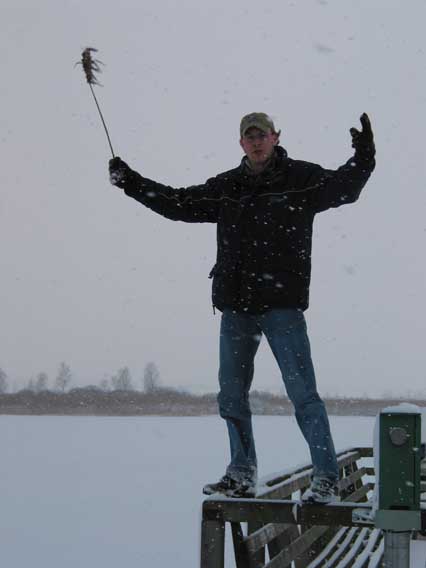 Bild 5 von 15  -  31 kB