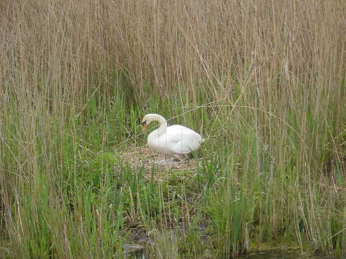 Bild 6 von 15  -  92 kB